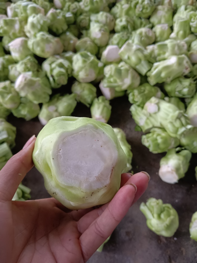 精品榨菜