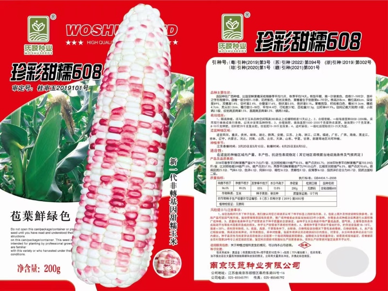 甜糯玉米种珍彩甜糯608产地直发花糯玉米量大优惠