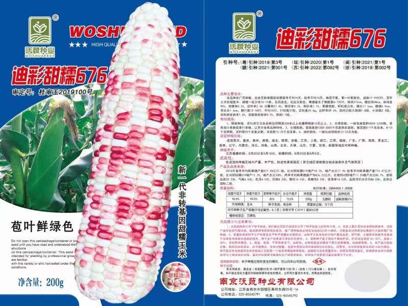 甜糯玉米种珍彩甜糯608产地直发花糯玉米量大优惠