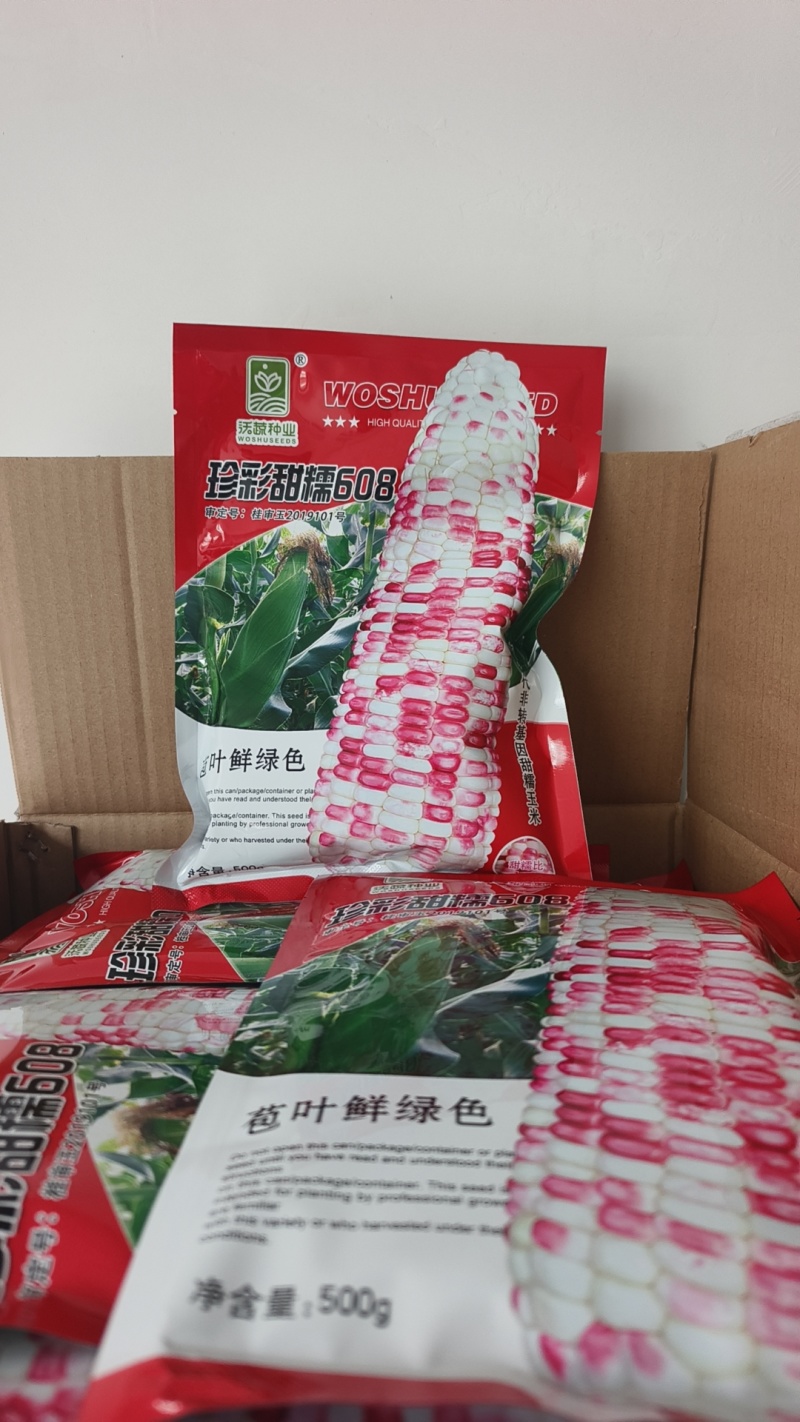 甜糯玉米种珍彩甜糯608产地直发花糯玉米量大优惠