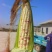 甜糯玉米种珍彩甜糯608产地直发花糯玉米量大优惠