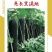 亮长黑满地黑皮冬瓜种子全国发货量大从优