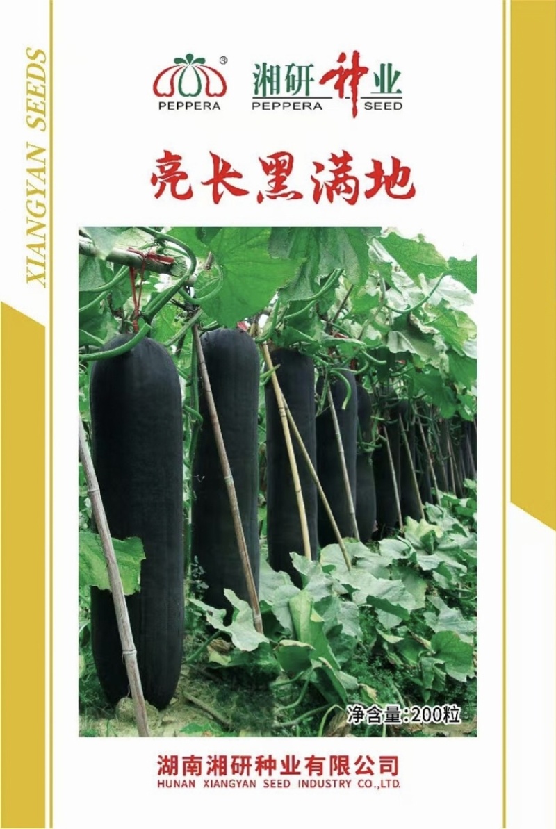 亮长黑满地黑皮冬瓜种子全国发货量大从优