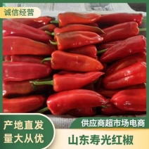 【牛商优选】寿光精品红椒，一站代发精品泡椒大量供应