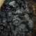 猴结滇藏高海拔地区人工开采天然无加工通货