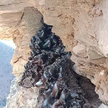 猴结滇藏高海拔地区人工开采天然无加工通货