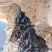 猴结滇藏高海拔地区人工开采天然无加工通货