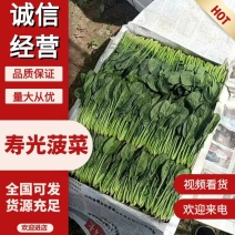 小叶菠菜品质保证视频看货代发全国一手货源