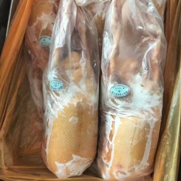黄皮鸭