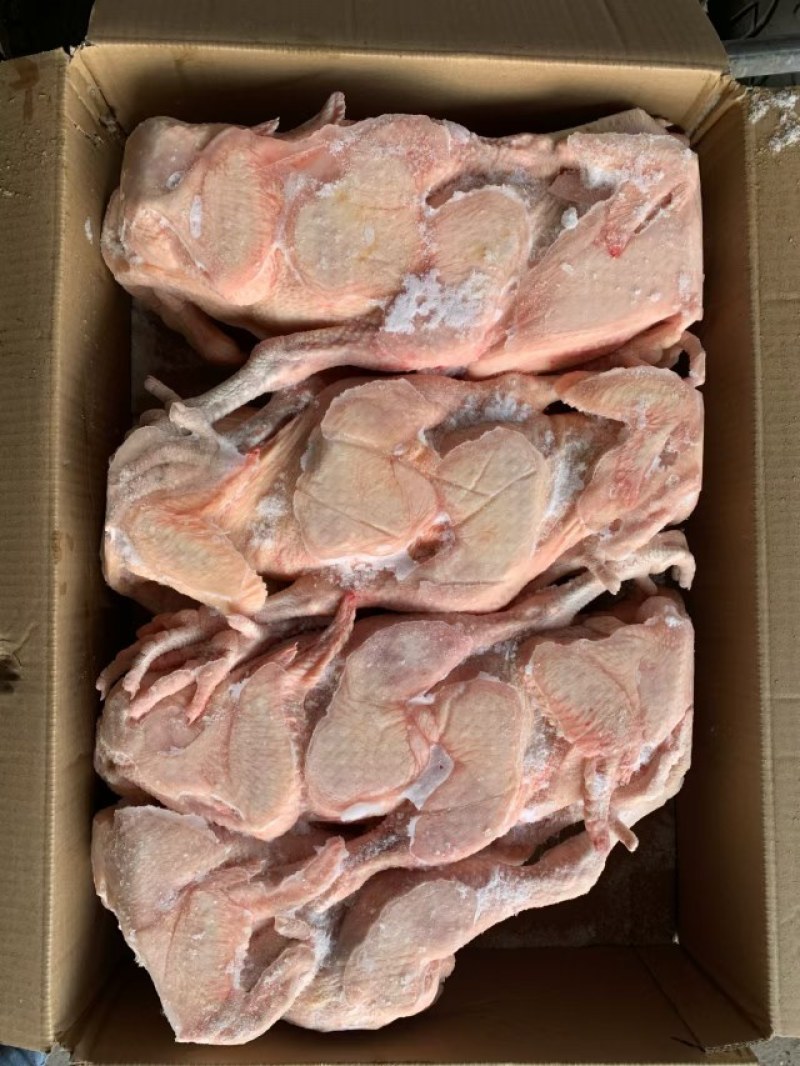 三黄鸡规格齐全