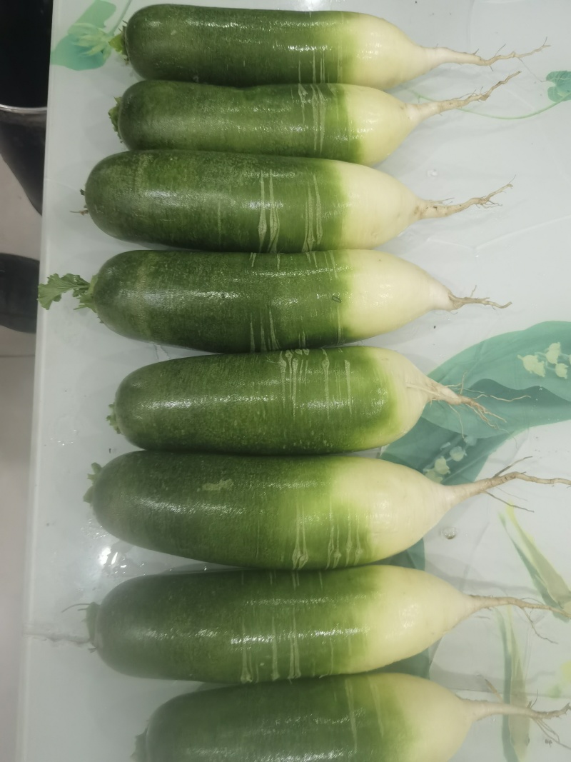 淮阳水果萝卜大量供应可水洗发市场，电商，质量保证