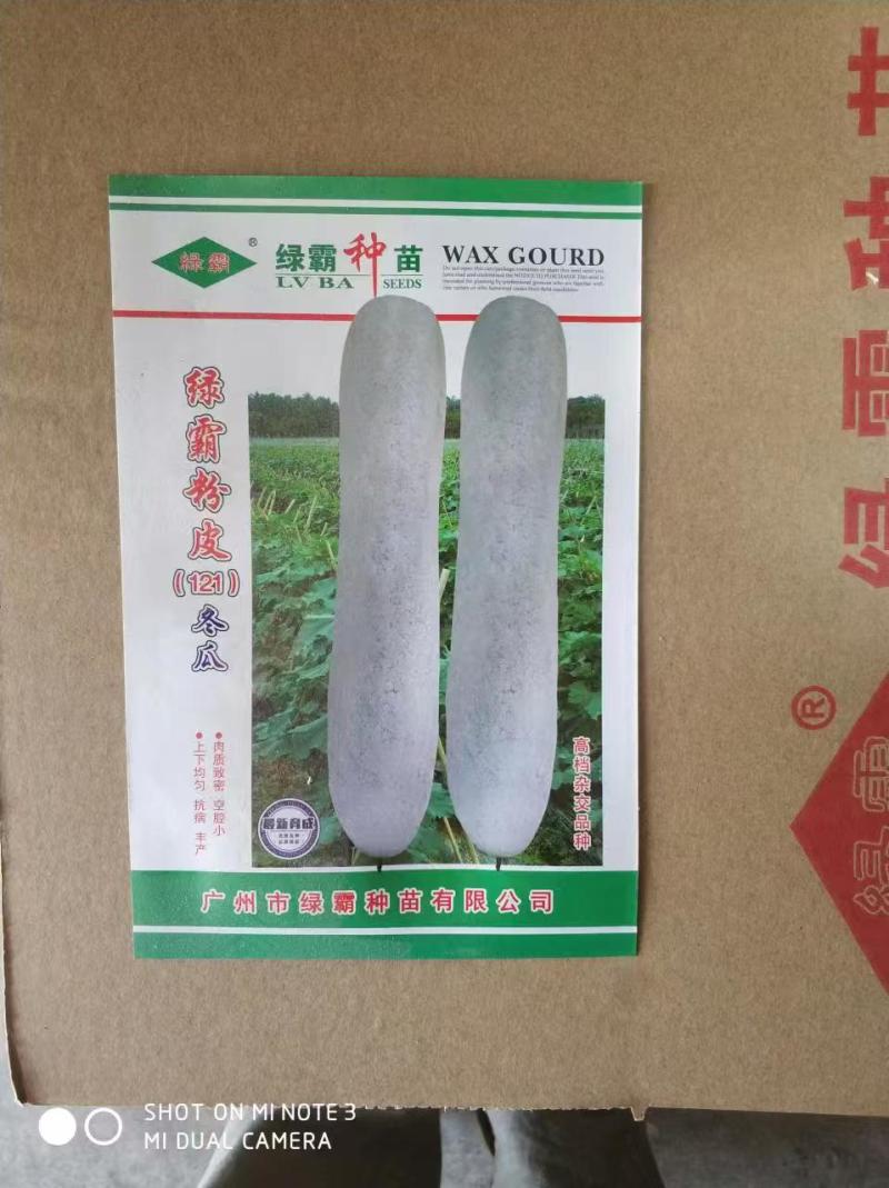 长条型白皮冬瓜种子铁心冬瓜全国发货抗病高产保成活率
