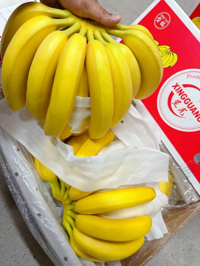 特价精品进口菲律宾香蕉，香甜软糯，保质保量，可发全国。
