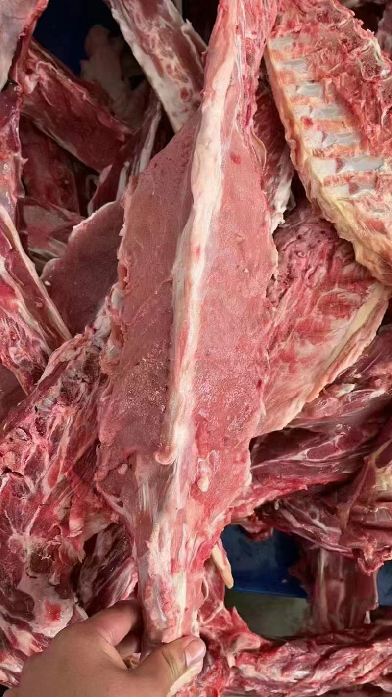 满肉羊蝎子