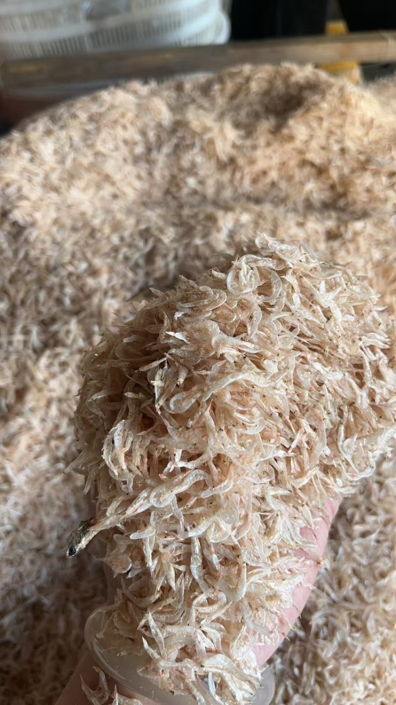 虾皮