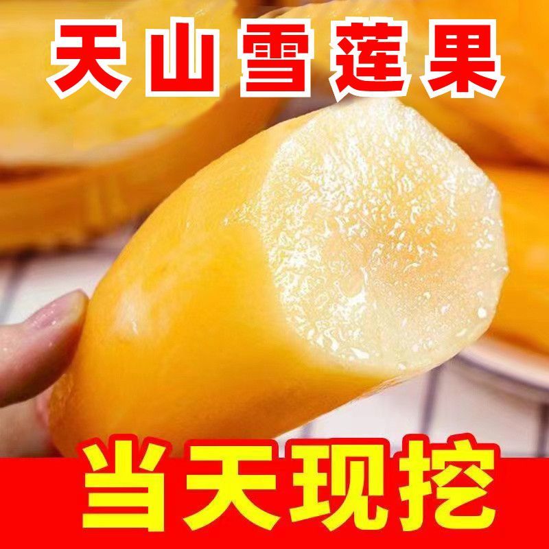 【开业特价】云南天山雪莲果红心特级低糖新鲜水果脆甜整箱批