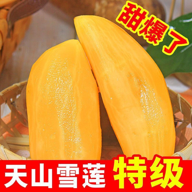 【开业特价】云南天山雪莲果红心特级低糖新鲜水果脆甜整箱批