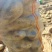 湖北襄阳土豆基地货源充足品种齐全沃土5号精品土豆批发