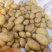 湖北襄阳土豆基地货源充足品种齐全沃土5号精品土豆批发
