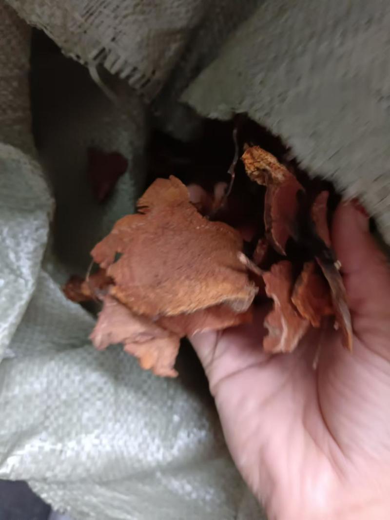 滇藏界高海拔地区天然采摘，粗加工切片干货岩陀