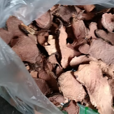 滇藏界高海拔地区天然采摘，粗加工切片干货岩陀