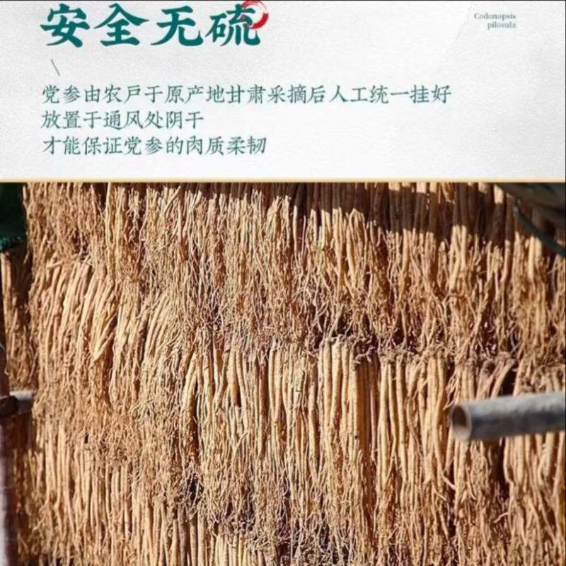 党参党参段干货无硫熏蒸炖汤泡水干净无杂