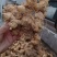 细叶姜形黄精新鲜统货种茎选货河南伏牛冬季倒苗