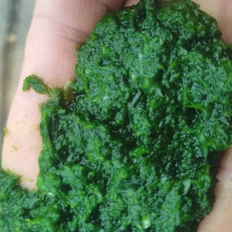 韭花，商用韭花无添加。