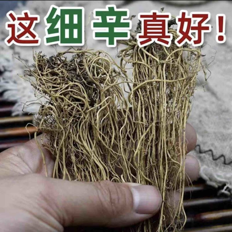 细辛新货无硫人工清洗手工挑选气香味微辛凉全国发货