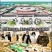 细辛新货无硫人工清洗手工挑选气香味微辛凉全国发货