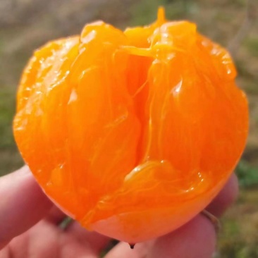 富平柿饼