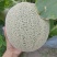 网纹瓜种子圆形网纹瓜种子果肉黄绿色2公斤糖19度口感