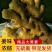 【河南】生姜大黄姜小黄姜，生姜产地代发货窖藏生姜按需求