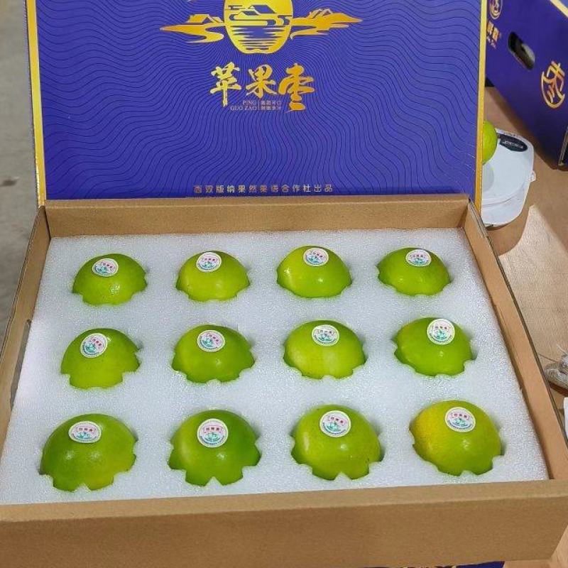 苹果枣上新，我们拥有***设备测糖度分选