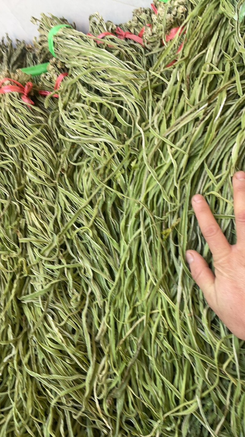 云南精品贡菜一二三四级贡菜大量有货产地直发