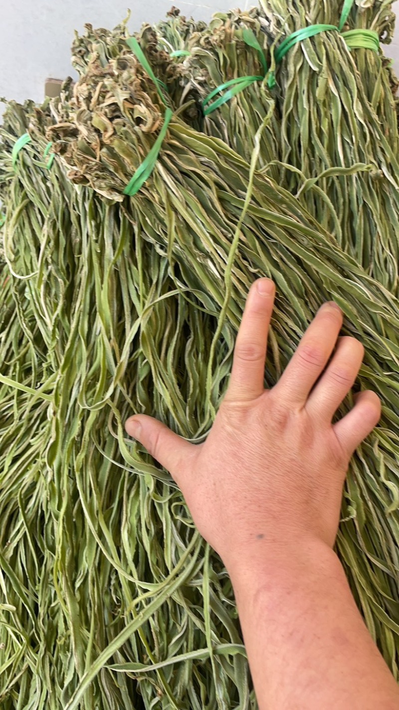 云南精品贡菜一二三四级贡菜大量有货产地直发