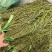 云南精品贡菜一二三四级贡菜大量有货产地直发