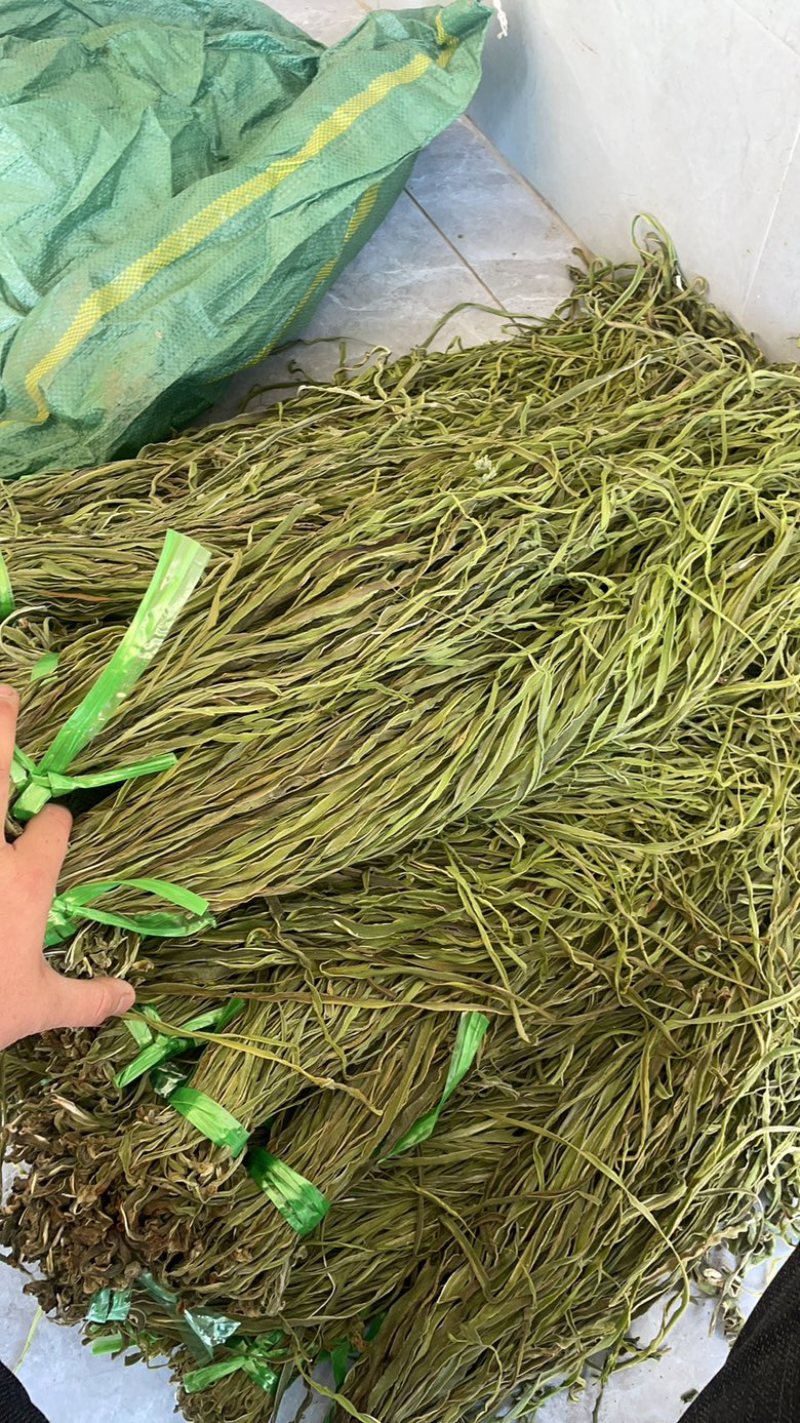 云南精品贡菜一二三四级贡菜大量有货产地直发