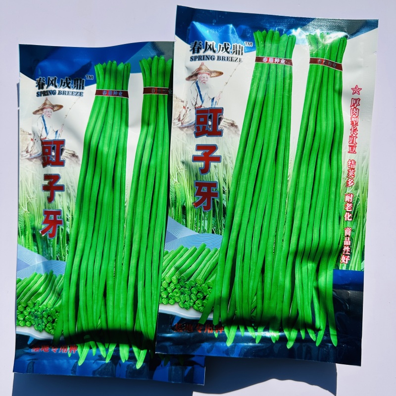 春风成鼎豇子牙长豆角种子翠绿色厚肉型长豇豆种子产量高