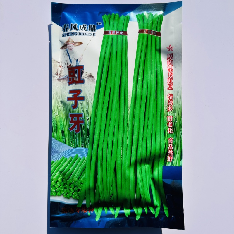 春风成鼎豇子牙长豆角种子翠绿色厚肉型长豇豆种子产量高