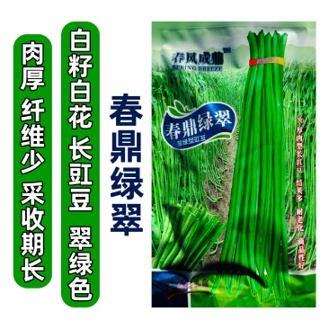 春鼎绿翠白籽白花豆角种子翠绿型豇豆种子厚肉型长豆角种子