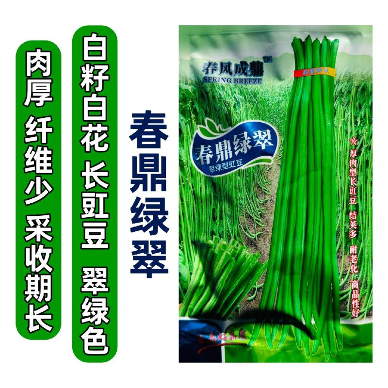 春鼎绿翠白籽白花豆角种子翠绿型豇豆种子厚肉型长豆角种子