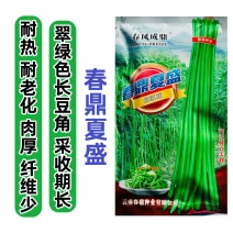 春鼎夏盈长豇豆种子翠绿色长豆角种子抗热豇豆高产种子耐热