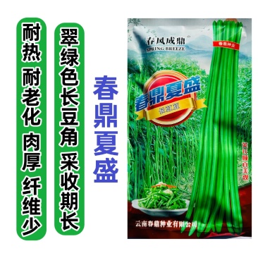 春鼎夏盈长豇豆种子翠绿色长豆角种子抗热豇豆高产种子耐热