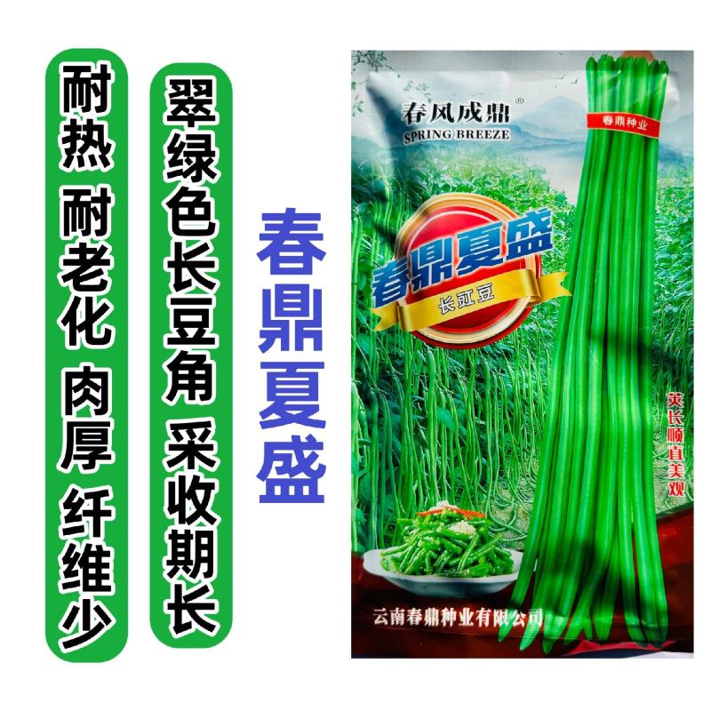 春鼎夏盈长豇豆种子翠绿色长豆角种子抗热豇豆高产种子耐热