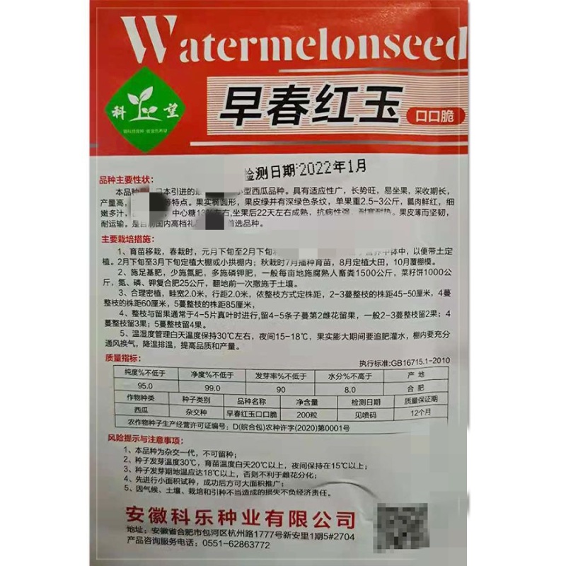 早春红玉西瓜种子早熟礼品小西瓜籽椭圆形薄皮高糖耐贮运大田
