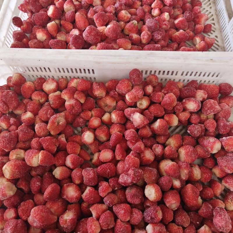 草莓工厂果