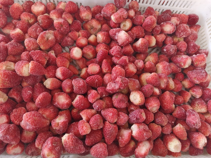 草莓工厂果