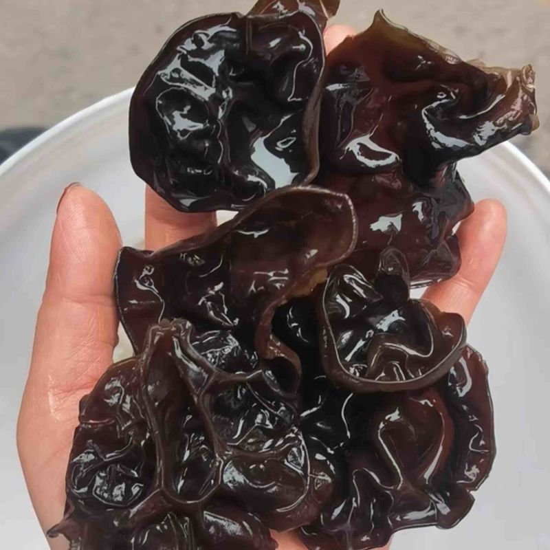甘肃陇南椴木木耳黑木耳秋木耳品质好价格实惠