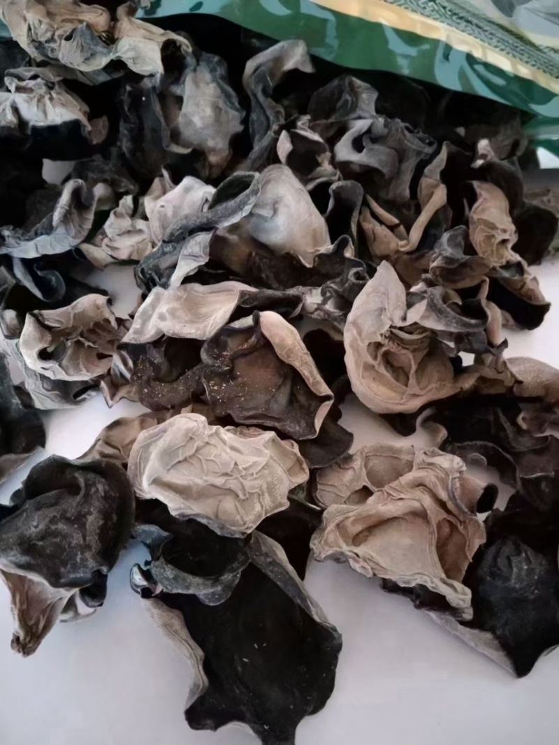 甘肃陇南椴木木耳黑木耳秋木耳品质好价格实惠